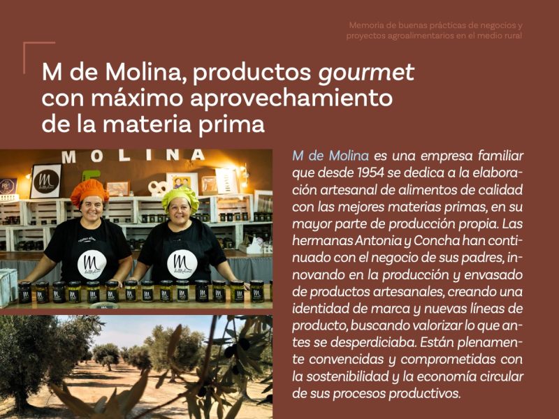 Memoria de buenas prácticas de negocios y proyectos agroalimentarios en el medio rural