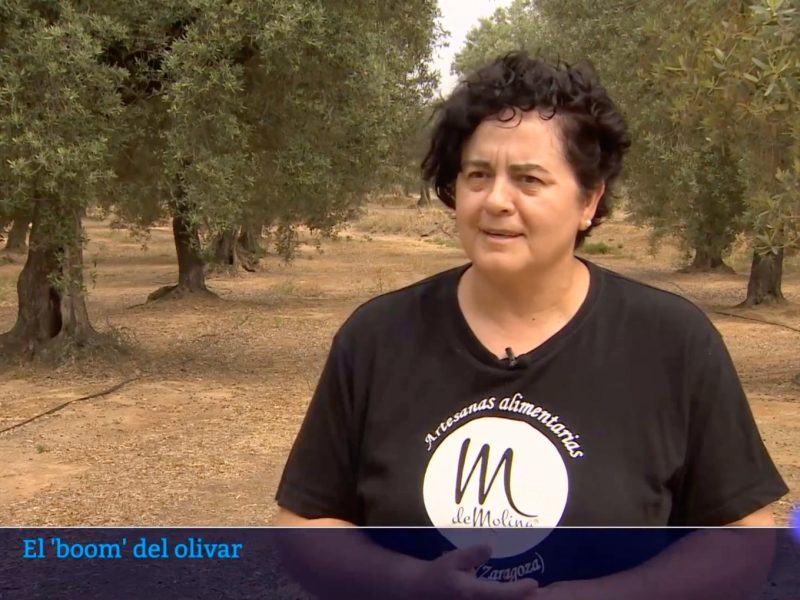 Concha Molina en TVE