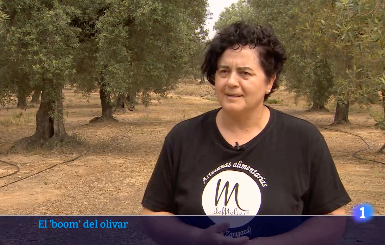 Concha Molina en TVE